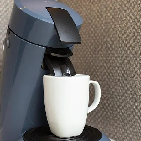 Of The Kings - Indigo