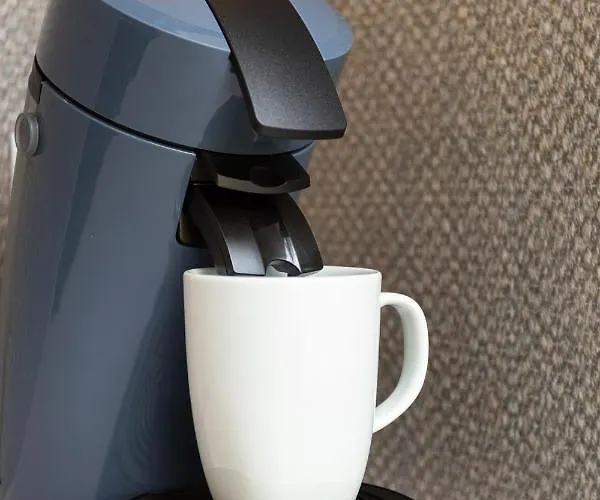 Of The Kings - Indigo